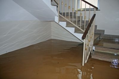 Basement Stairs Installation
